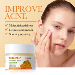 Hot Selling Anti Akne Anti Aging Feuchtigkeit spendende dunkle Haut Kosmetik Feuchtigkeit spendende Aufhellung Bio Kurkuma Gesicht Hautpflege Set