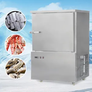 Stainless Steel 6 Layers Commercial Use Small Blast Chiller Quick Cold Room Storage Blast Freezer