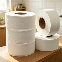 Papier toilette en rouleau jumbo, doux, sans poussière, écologique, jetable dans les toilettes et compatible OEM/ODM