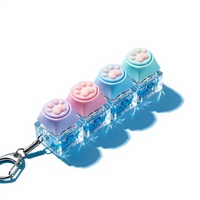 Porte-clés lumineux en silicone en forme de patte de chat de dessin animé 3D, jouet de décompression, pendentif mousqueton, breloque de sac, 4 clés, Test Axis