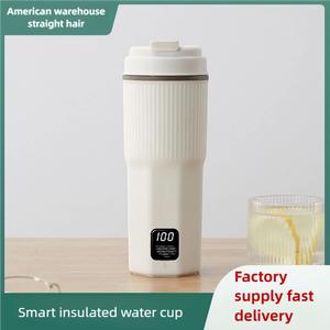 Hervidor portátil aislado de alta calidad, taza de té con calefacción eléctrica, botella de agua caliente, hervidor de agua de viaje con calefacción eléctrica - Product Image 2