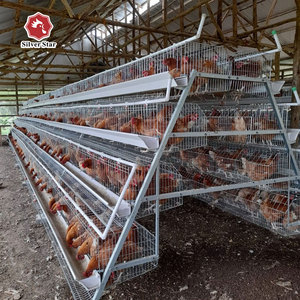 Venta Directa de Fábrica: Jaula para Gallinas Ponedoras Tipo A con Sistemas Automáticos de Alimentación y Bebederos, Capacidad para 120 Gallinas, Vida Útil de 20-25 Años - Product Image 2