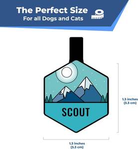 Échantillons gratuits nouvelle étiquette de chien en silicone anti-perte en forme de coeur étiquette nominative personnalisée <span class=keywords><strong>Code</strong></span> QR Sublimation Style de mode pour chiens - Product Image 6