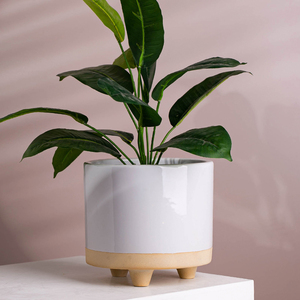 <span class=keywords><strong>Macetas</strong></span> minimalistas de cerámica para interior, venta al por mayor, redondas, para jardín, <span class=keywords><strong>macetas</strong></span> con <span class=keywords><strong>pies</strong></span> - Product Image 1