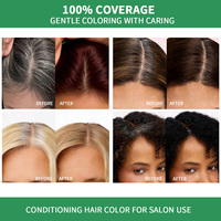 Crème Colorante Capillaire Permanente Bio aux Herbes, Contenant Plastique, Extraits de Ginseng et d'Aloès, Couvre les Cheveux Gris, Couleur Vibrante, Soin Doux, Pour Tous Types de Cheveux