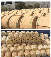 Cable de Fibra Óptica FTTH para Exteriores, 1, 2, 4, 6, 8, 12, 24, 48, 96 Hilos, Blindado, Anti-Roedores, ASU, ADSS, GYFXTBY