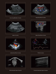 <span class=keywords><strong>Machine</strong></span> d'imagerie portative de système d'ultrason de Doppler de couleur vétérinaire de Mindray Vetus E7 pour l'hôpital de clinique animale - Product Image 6