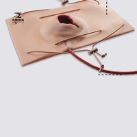 Modelo de herida de pistola grande, modelo de enseñanza médica de entrenamiento de control de hemostasia, entrenamiento de simulación de Trauma