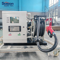 Harga Pabrik Pompa Bahan Bakar Mini Portabel Pompa Diesel Mini 12v/24v/220v Dengan Selang 15m untuk Truk Dispenser Bahan Bakar Mobile