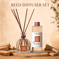 Coffret Cadeau Diffuseur de Roseaux Écologique Personnalisé en Gros OEM 100ml avec Bouteille de Recharge Parfum Jasmin Marque Privée