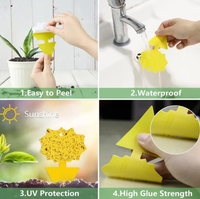 Adhésif fort Lutte antiparasitaire efficace Utilisation intérieure et extérieure Flytrap Fruit Fly Fungus Gnat Sticky Trap