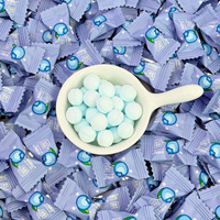 Bonbons pressés sans sucre saveur myrtille de qualité supérieure, en forme de boule, friandises fruitées et sucrées, bonbons santé pour la vente en gros