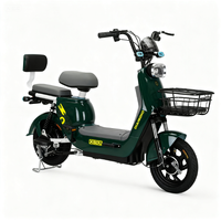 Scooter électrique 48V 350W, pneu à vide de 14 pouces, 2 places, vélo électrique, vélo électrique pour adultes