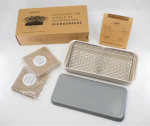Jardin hydroponique d'intérieur intelligent pour la cuisine, plateau pour micro-légumes, <span class=keywords><strong>en</strong></span> <span class=keywords><strong>bois</strong></span> naturel, à suspendre au mur, utilisation domestique - Product Image 5