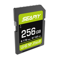 Kartu Memori 256GB Daya Tahan Tinggi Terlaris untuk CCTV DVR Perekam Mengemudi Kamera CCD 1080P Kartu Penyimpanan Stabil Non Volatile