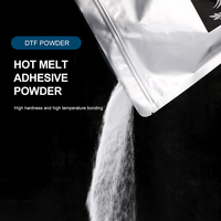 Poudre adhésive de fonte chaude de polyuréthane de FRZ pour le transfert de chaleur imprimant la POUDRE de DTF TPU