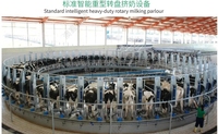 Système d'équipement d'allaitement rotatif pour vaches, carrousel, machine à traire, pour plusieurs vaches, gain de temps