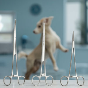 CJH Animal Surgery Otolaryngology Instrument spécial pour le pincement des vaisseaux sanguins nasaux - Product Image 5