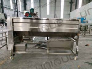 Hurma tarihleri çamaşır makinesi seçim konveyör fırın işleme hattı - Product Image 5