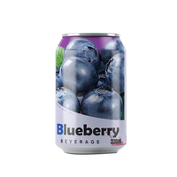 Boisson aux Fruits Gazeuse en Gros pour OEM, Boissons Non Alcoolisées en Vrac, Jus de Mangue