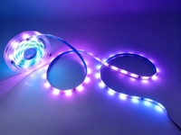 Bande lumineuse LED DC12V SMD5050 RGBIC WS2812B/SK6812, 30 LED/m, adressable, programmable, changement de couleur, télécommande, flexible