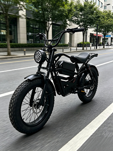 Vélo Électrique Tout-Terrain Urbain à Moteur 350W 48V 12Ah avec Frein à Tambour et Pneus 20 Pouces – Vente Chaude, <span class=keywords><strong>Prix</strong></span> Chine - Product Image 5