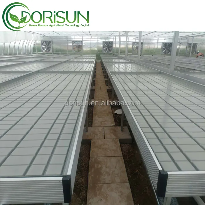 2024 Hot Sale Greenhouse Hydroponic Grow Bench Nursery Seed Cultivation Rolling bench Flood And Drain Grow Tables