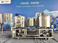 Chaisse de brassage 300L STAR à 3 cuves pour restaurant, équipement de brassage et de fermentation en acier inoxydable 304, en promotion