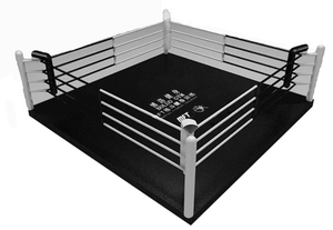 Cage professionnelle <span class=keywords><strong>Octogone</strong></span> <span class=keywords><strong>MMA</strong></span> 4*4m/5*5m/6*6m/7*7m/8*8m ring de boxe pour centre d'entraînement - Product Image 3