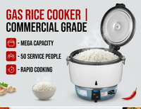 Cuiseur à riz électrique au gaz commercial, capacité de 10l, équipement de cuiseur à riz
