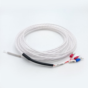 PT100 PTFE เทอร์โมคัปเปิลทนการกัดกร่อน เซ็นเซอร์วัดอุณหภูมิ ความต้านทานความร้อนของดิน - Product Image 6