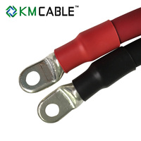 Câble de connecteur de batterie 2awg 4awg Câble de batterie flexible 12v 24v avec pince de connecteur d'extrémité