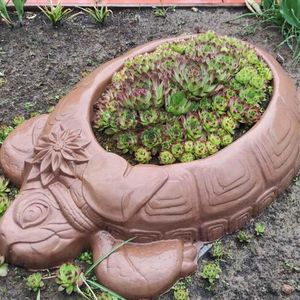 Mới đến tất cả-Tự động chân không thermoforming hình thành máy cho khuôn nhựa tự động chân không hình thành máy - Product Image 5