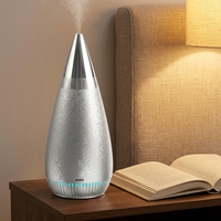 Diffuseur d'huiles essentielles sans eau, électrique, en acier inoxydable, 100 ml, rechargeable, télécommande