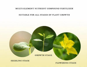 Fertilizante Compuesto Granular Soluble de Alta Calidad, 90% Orgánico, NPK 18-18-18, Liberación Rápida, Eficaz para Uso Agrícola - Product Image 5