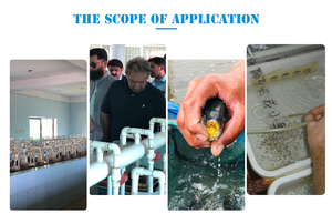 Incubateur de poissons de <span class=keywords><strong>truite</strong></span> de haute qualité équipement complet d'écloserie de saumon - Product Image 4