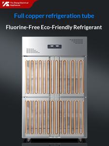 Congélateur vertical à double température grande capacité à refroidissement direct YINZHENG pour les arrière-cours des supermarchés européens - Product Image 2