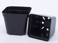 Bon marché carré 5.5cm 6cm 7cm 9cm 10cm meilleur petit pot de graine de fleur carré noir pour plantes succulentes pot de pépinière en plastique