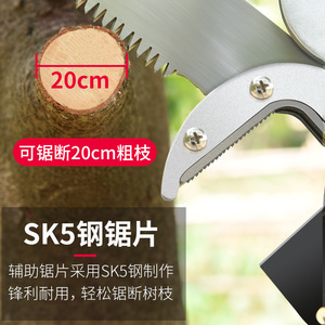 Sécateur télescopique Baolian 20-30 mm en acier inoxydable, cisailles papillon pour la taille des arbres fruitiers - Product Image 4
