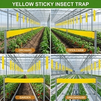 Piège collant solide et écologique pour insectes, imperméable, en plastique, tue-mouches, pour pucerons, plaque adhésive, attrape-mouches blancs, lutte naturelle contre les parasites