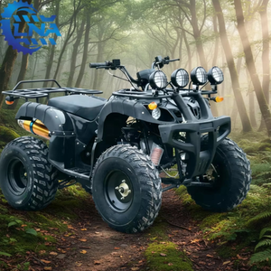 Accesorios para cuatrimotos LNA <span class=keywords><strong>de</strong></span> 250cc listos para enviar, incluye piezas <span class=keywords><strong>de</strong></span> repuesto para flotas <span class=keywords><strong>de</strong></span> <span class=keywords><strong>alquiler</strong></span> - Product Image 3