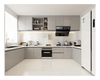 Meuble de cuisine moderne en contreplaqué laqué mat avec accessoires, directement de l'usine