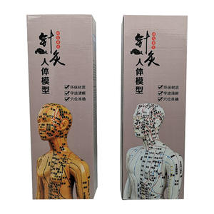 Modelo de acupuntura Huayikang, diagrama claro de meridianos y puntos de acupuntura humanos para práctica, reutilizable, clase I - Product Image 5