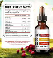 Compléments alimentaires végétaliens en vitamine B12 + B6, complexe B tout-en-un en gouttes liquides pour adultes, soutien immunitaire et énergétique