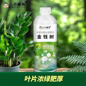 น้ำยาบำรุงพิเศษต้นไม้เงิน บาเกลอตู 300 มล. อาหารพืชชนิดน้ำ - Product Image 5