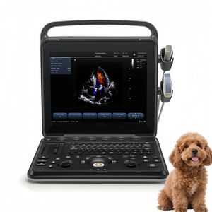 Máquina de escáner de ultrasonido veterinario tipo portátil de gran oferta, instrumentos quirúrgicos veterinarios para gatos y perros, animales de compañía - Product Image 5