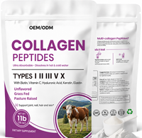 OEM Multi Collageen met Vitamine C Voedingssupplement Gehydrolyseerd Collageenpoeder voor volwassen vrouwen, ter ondersteuning van huid, haar en nagels