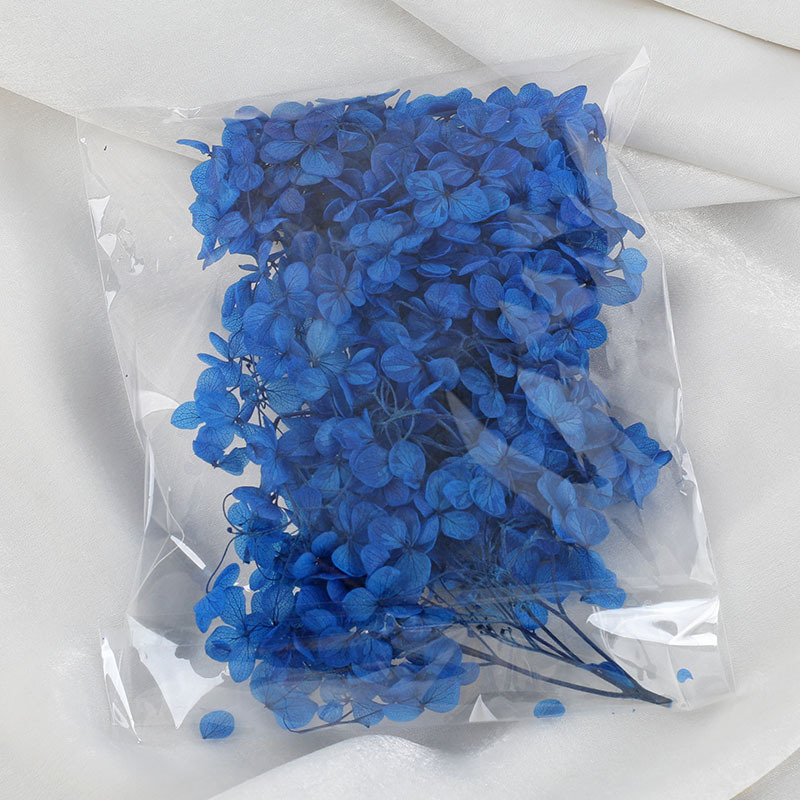 Bleu foncé