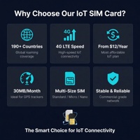 Tarjeta SIM 4G IoT para Rastreador GPS PC, 30MB Mensuales, Cobertura Global en Más de 190 Países, Activación Plug & Play, Plan Anual de 12 USD