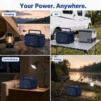 Estación de Energía Solar Portátil de 300W con Inversor de Onda Sinusoidal Pura y Batería LiFePO4 para Camping y Emergencias